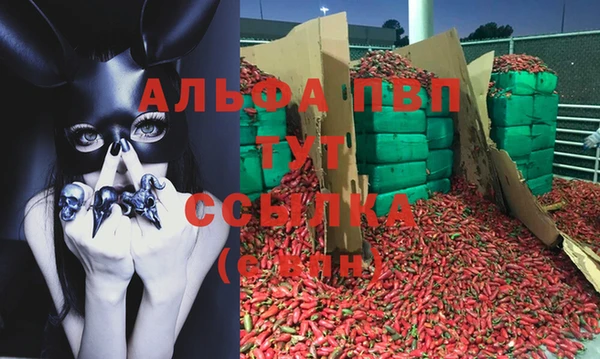 дживик Арсеньев