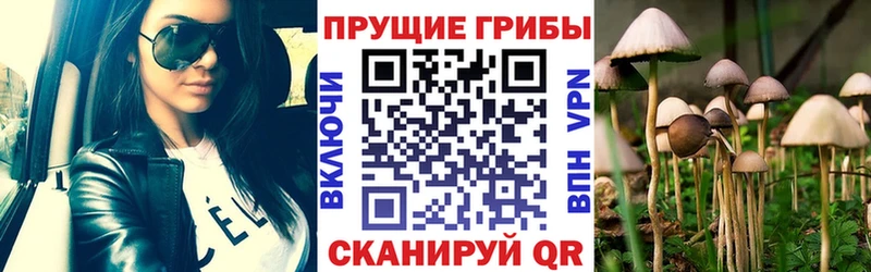 hydra ссылки  Октябрьск  Псилоцибиновые грибы мухоморы 